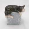 No 2475 Small sleepig cat