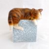 No 2475 Small sleepig cat - Image 3